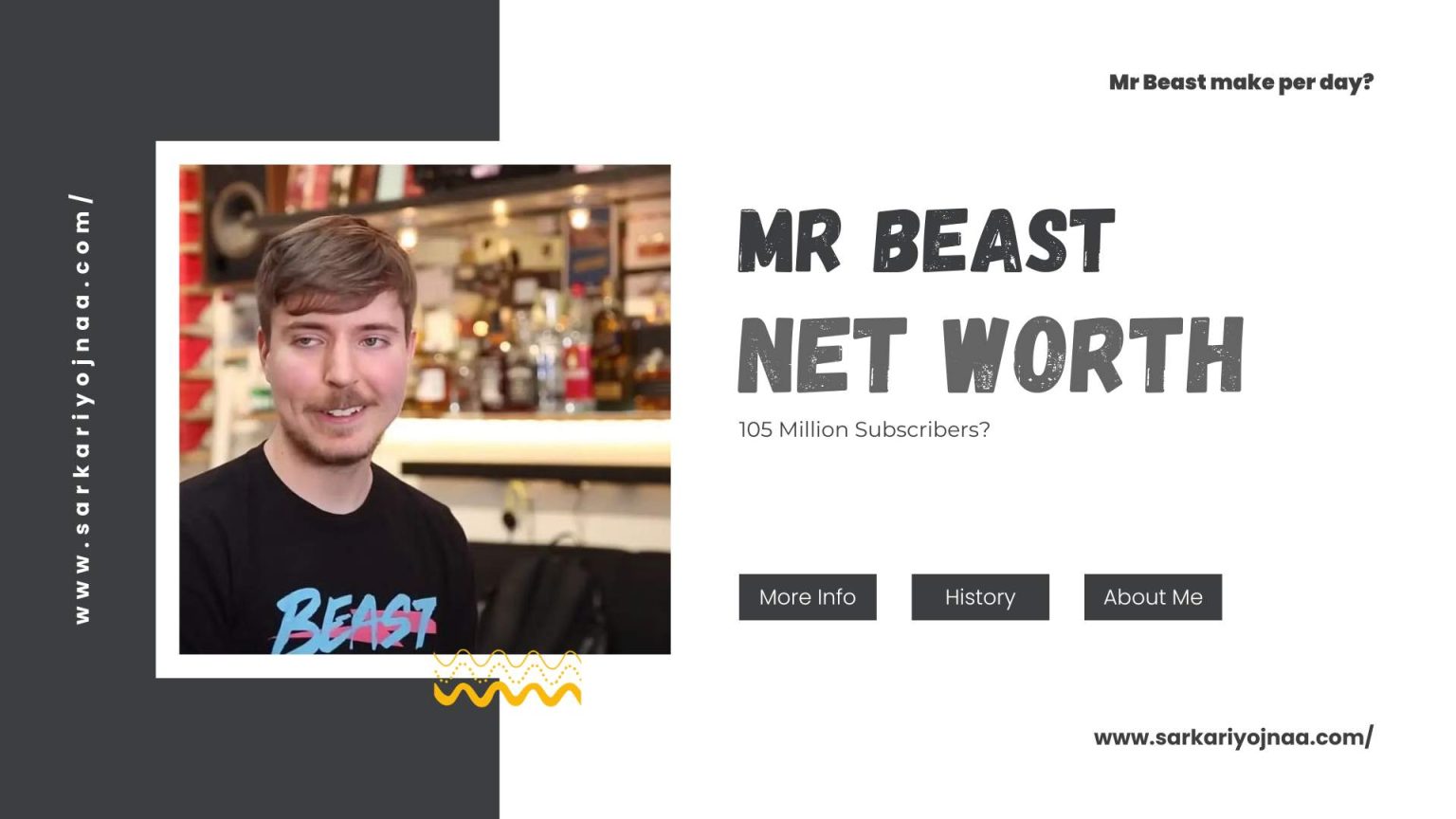 Mr Beast Net Worth 2024 Did He Amass 105 Million Subscribers?