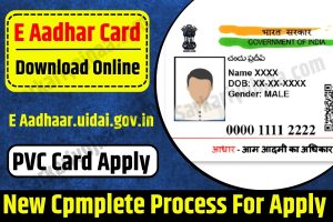 Download e-Aadhaar PDF Online | Order Aadhaar PVC Card