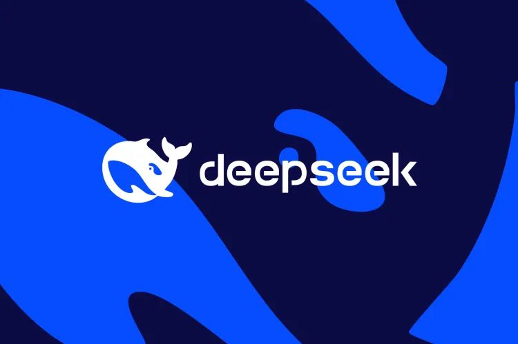 DeepSeek R1 Perfect DeepSeek R1 Perfect