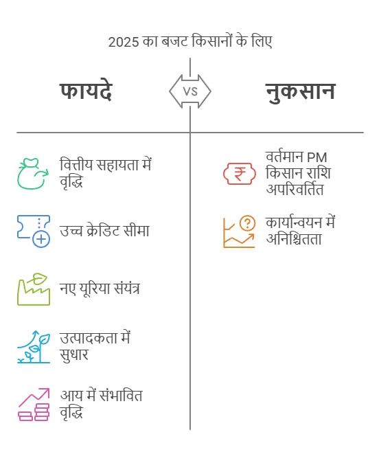 Budget 2025 For Farmers Budget 2025 For Farmers Pm Kisan 12000