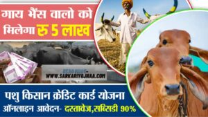 pashu Kisan credit card